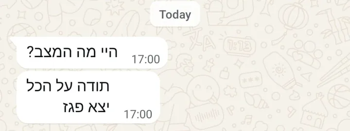 צילום מסך מוואטסאפ: היי מה המצב? תודה על הכל, יצא פגז